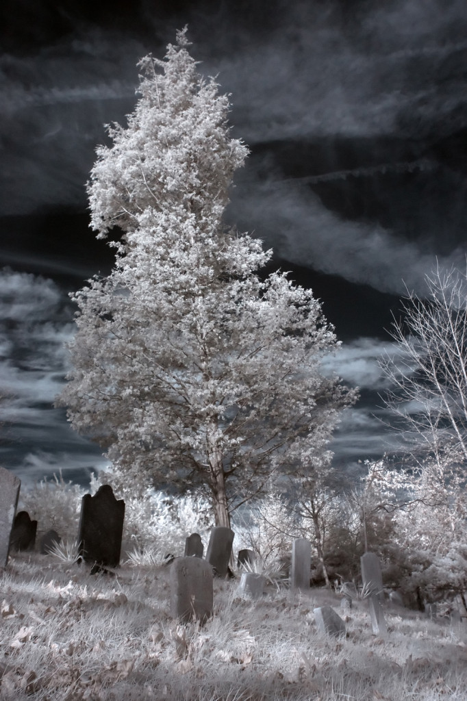 carll cemetery IR 004_1