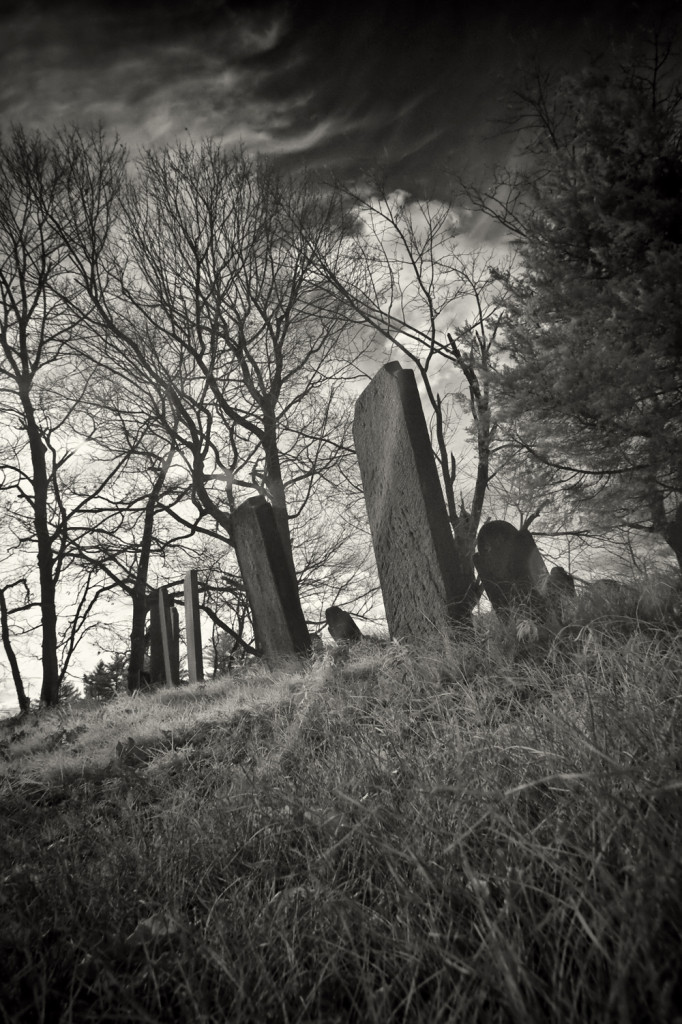 carll cemetery IR 083